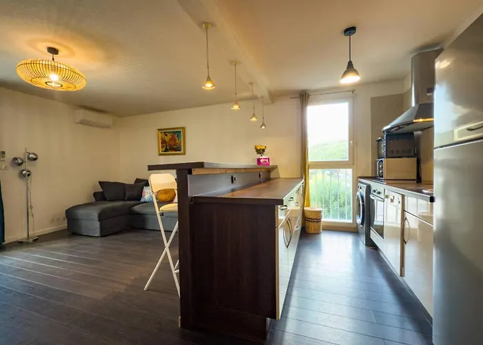 T3 Spacieux - Climatise - Commerces - Plages